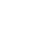 国外考察